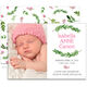 Pink Bud Photo Birth Announcements Image 3 of 3